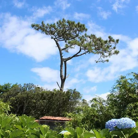 Quinta Do Torreao *